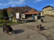 16 La sentinella guardiana di Reggetto in servizio con la famigliola